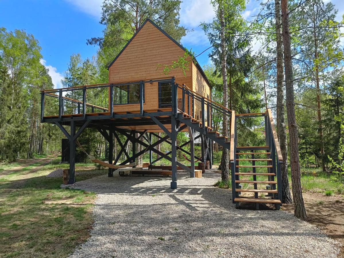 Zdalnie Z Lasu - Siedlisko W Puszczy Bialowieskiej Narewka Exterior foto