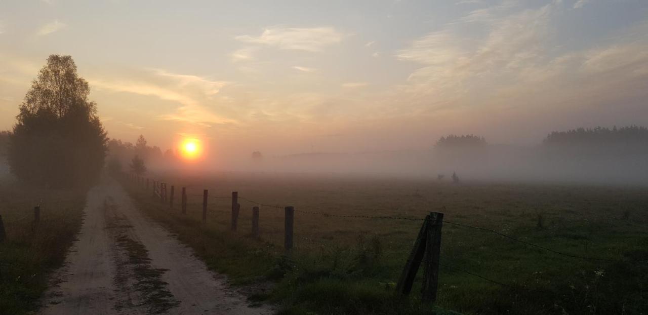 Zdalnie Z Lasu - Siedlisko W Puszczy Bialowieskiej Narewka Exterior foto