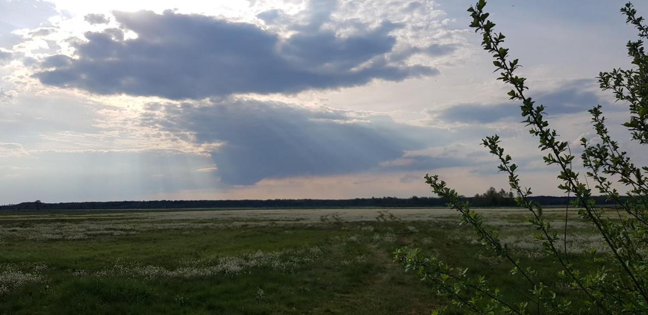 Zdalnie Z Lasu - Siedlisko W Puszczy Bialowieskiej Narewka Exterior foto