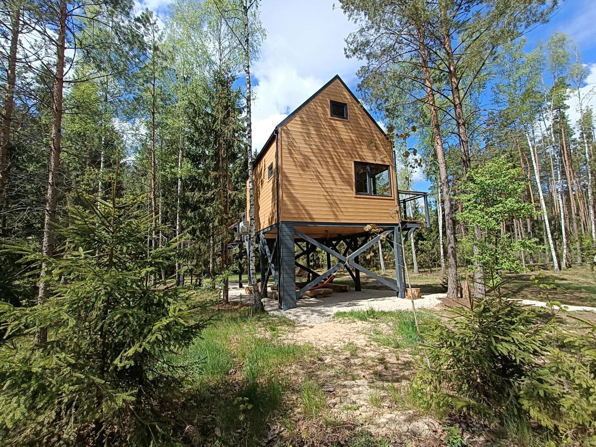 Zdalnie Z Lasu - Siedlisko W Puszczy Bialowieskiej Narewka Exterior foto
