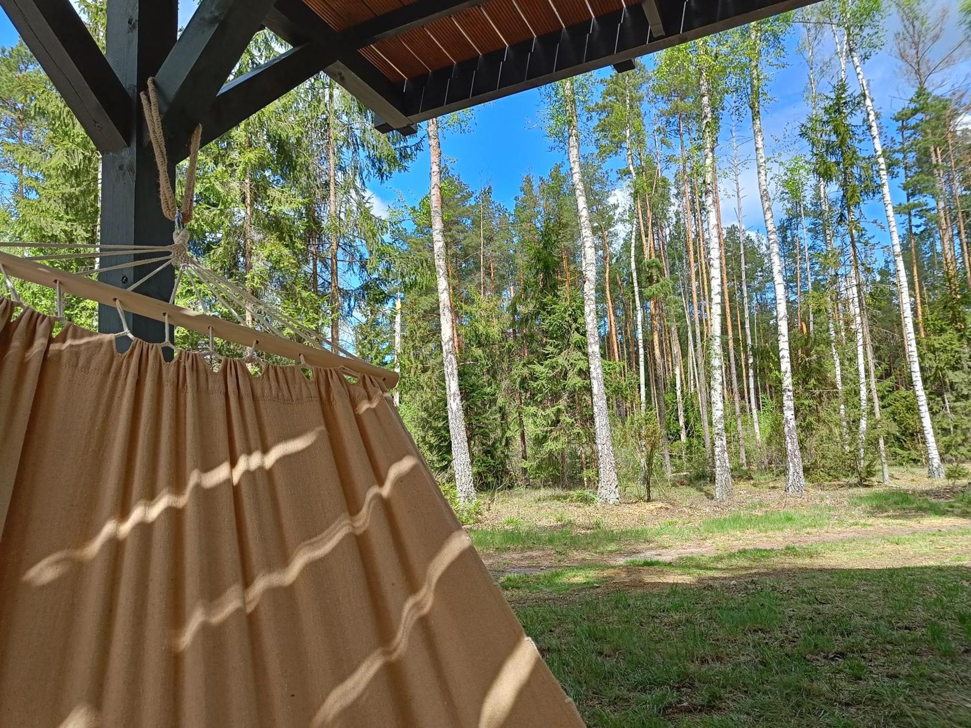 Zdalnie Z Lasu - Siedlisko W Puszczy Bialowieskiej Narewka Exterior foto